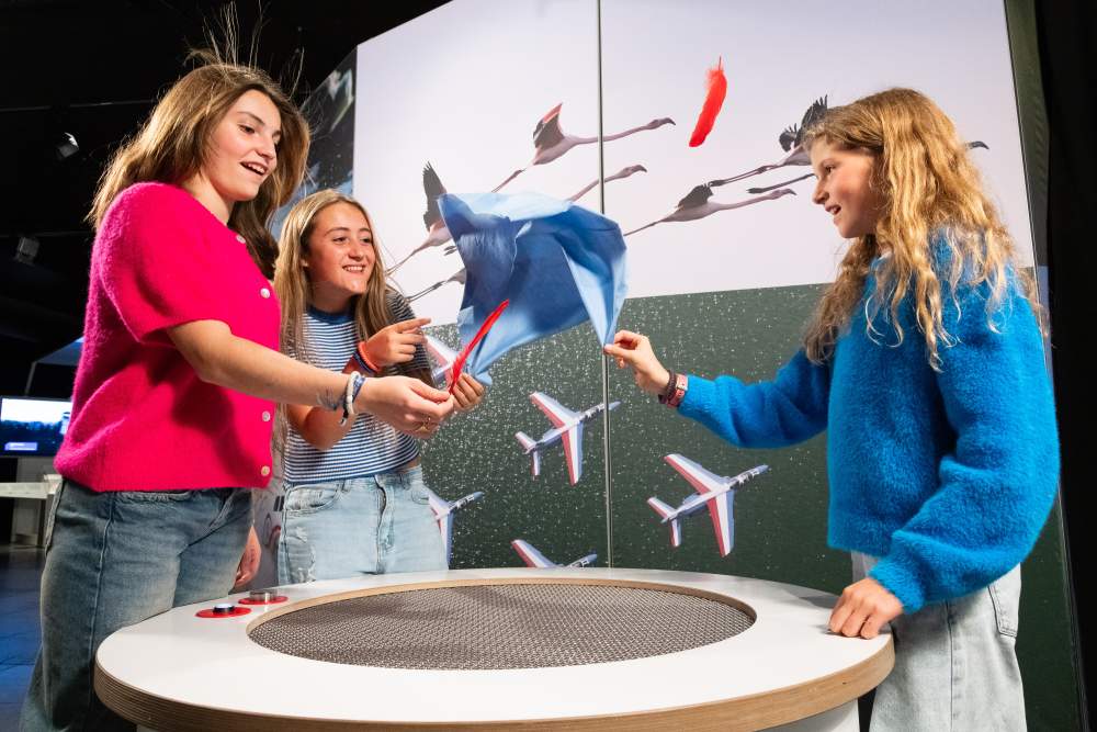 exposition Flight