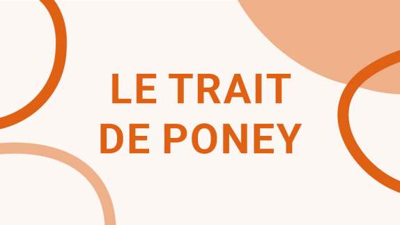 Article Miniature Poney