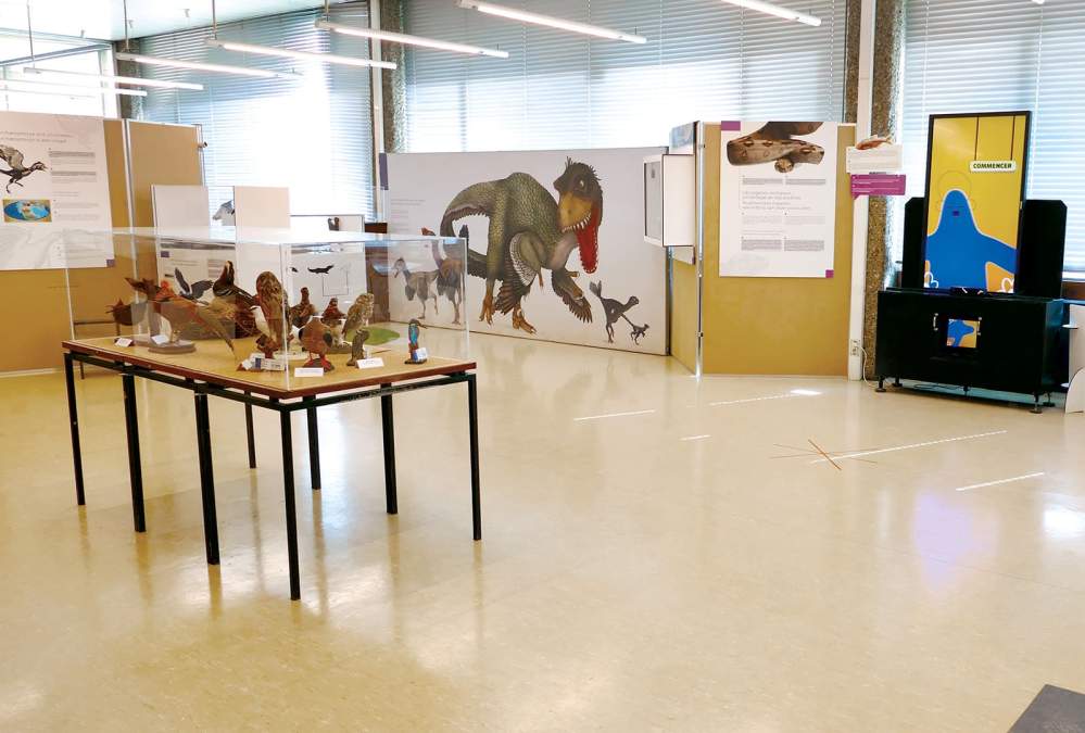 Exposition