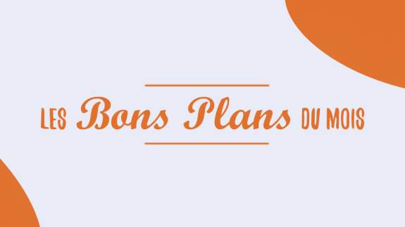 Article Miniature Bonsplans 26
