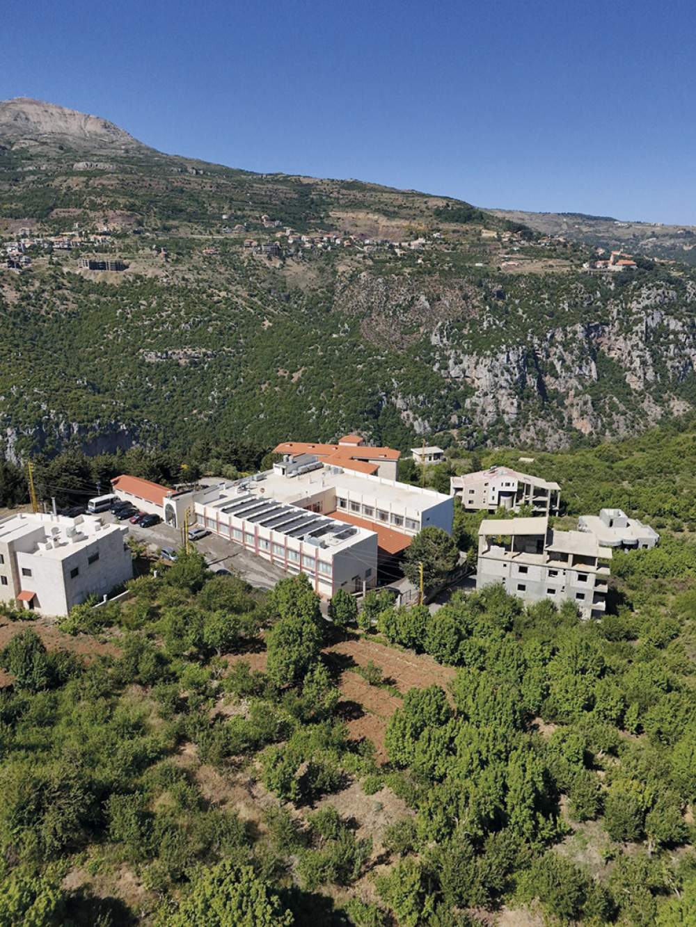 Article 17 Actu DR(2)