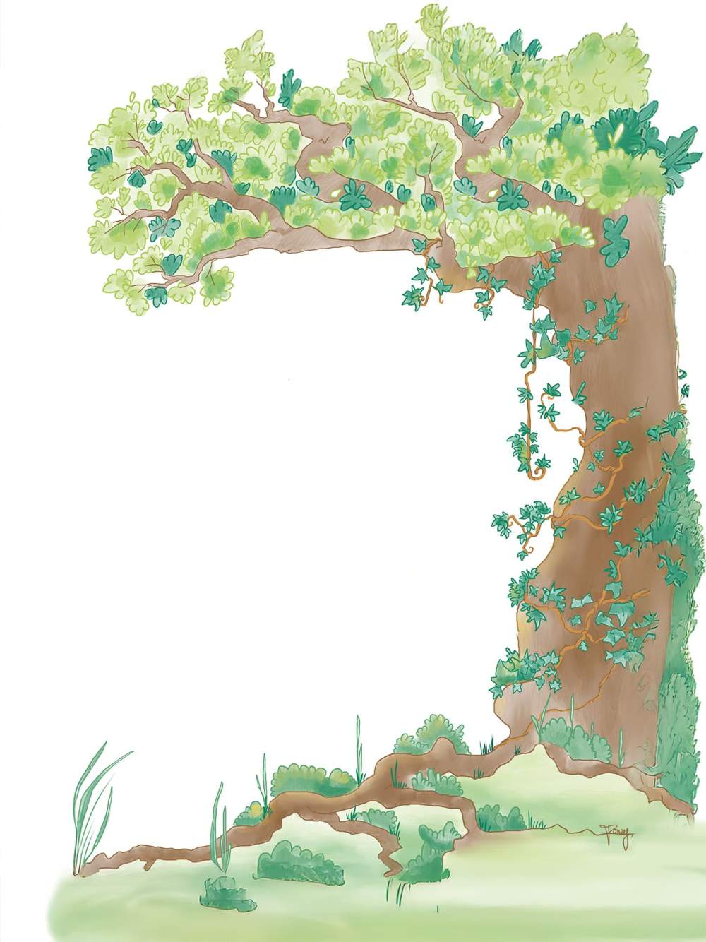 Y a-t-il encore un tronc commun ?