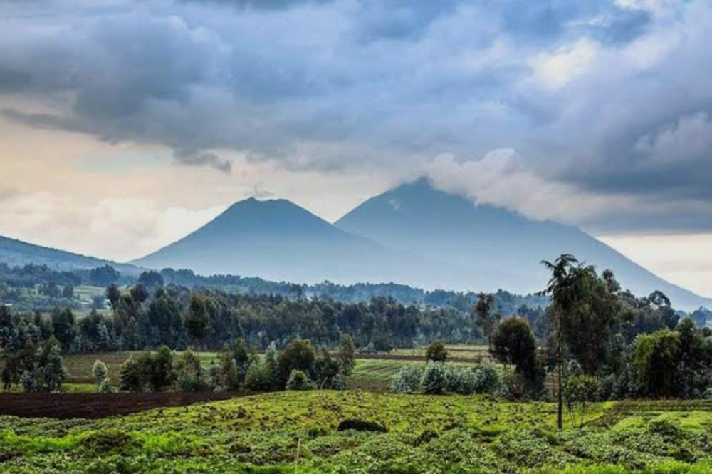 Paysage du Rwanda